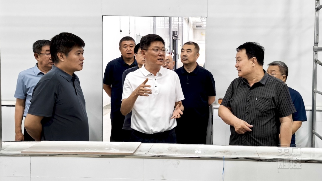 周鹏调研重点项目建设