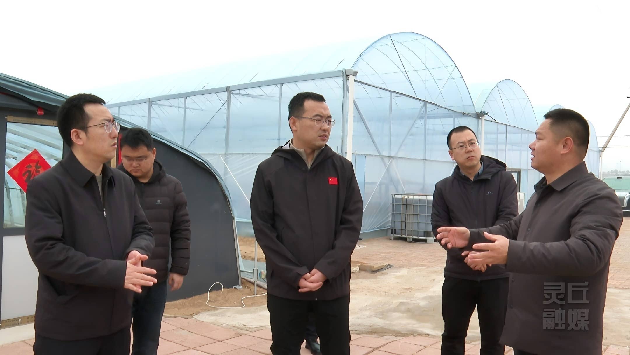 张磊调研农业项目发展情况